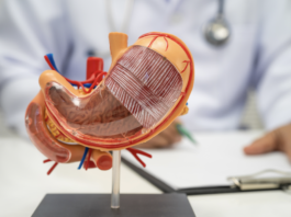 Tumore dello stomaco avanzato HER-2 negativo, nuova combinazione di farmaci dallo studio Ilustro tumore stomaco avanzato HER-2 negativo