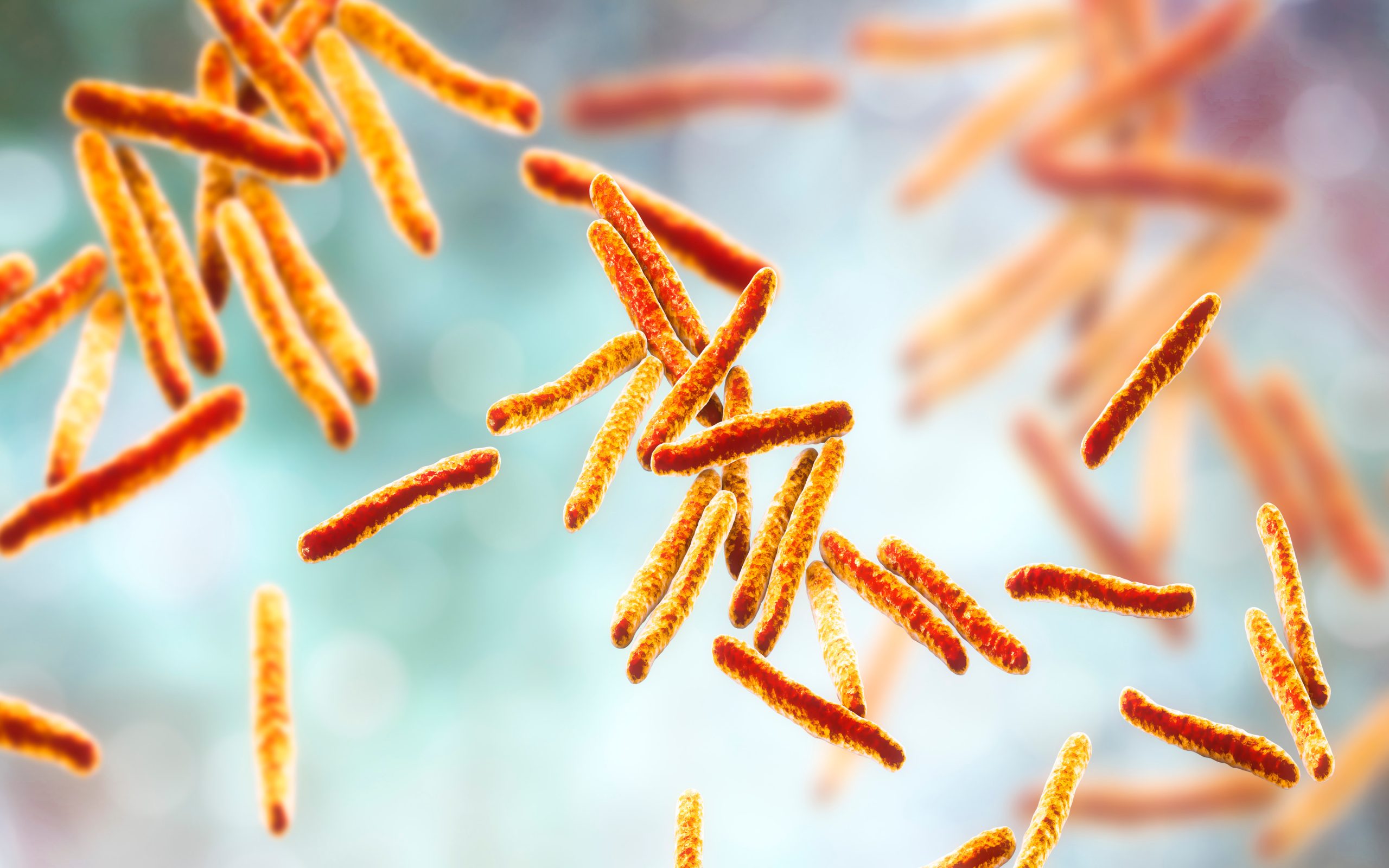 Gestione della tubercolosi: analisi epidemiologica, nuove tecniche diagnostiche e perduranti criticità