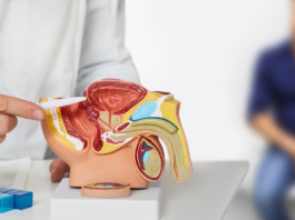 Tumore della prostata: medicina di precisione tra screening, biomarcatori e PARP-inibitori medicina di precisione nel tumore della prostata