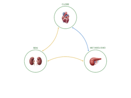Riflettori accesi sulla sindrome cardio-nefro-metabolica