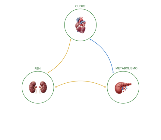 Riflettori accesi sulla sindrome cardio-nefro-metabolica