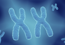 Trofinetide approvato in Europa. Primo trattamento per la sindrome di Rett