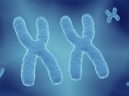 Trofinetide approvato in Europa. Primo trattamento per la sindrome di Rett