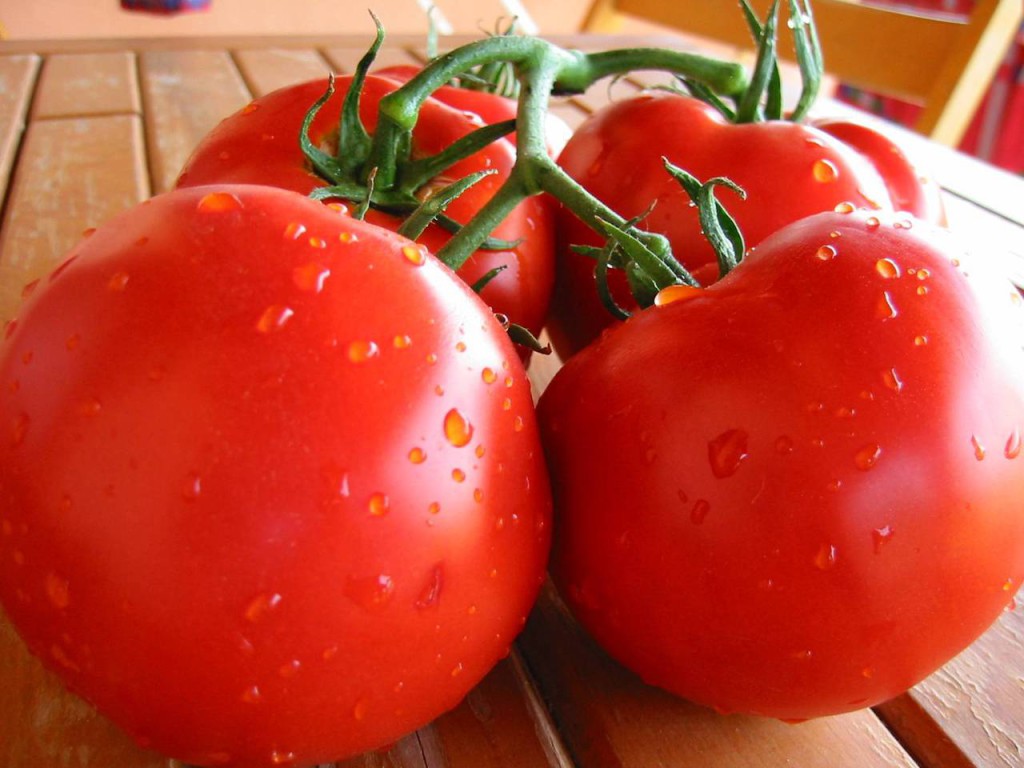 Prezzi in calo per diverse varietà di pomodori a causa della disponibilità di grandi quantità di prodotto olandese