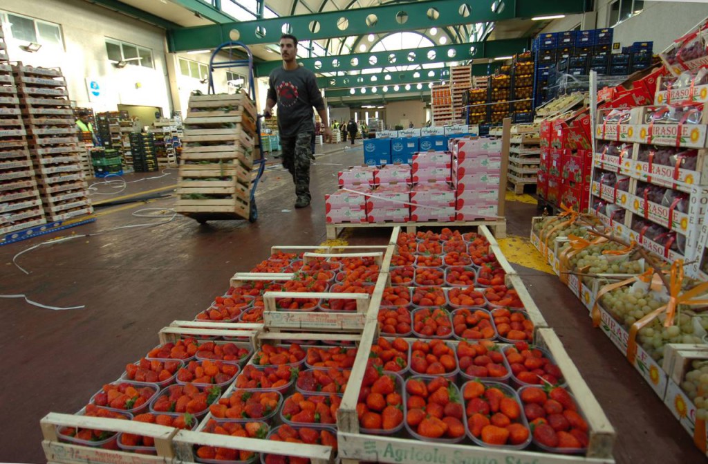 Con le fragole italiane, di buona qualità, di trovano sul mercato partite di prodotto spagnolo dai prezzi