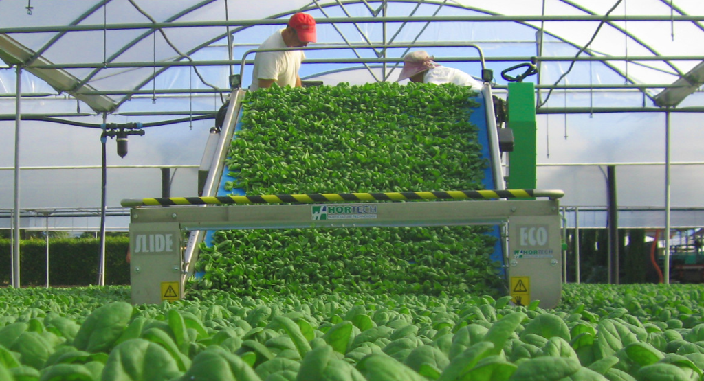 Macchina per la raccolta della Valeriana di Hortec