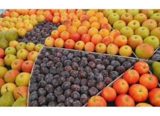 FruttaSuper ad Amsterdam da Natura Nuova Natura Nuova frutta biologica