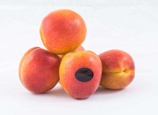 Soddisfazione di Gallo per la campagna dell’albicocca Eccelsa