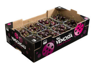 Il cartone confezione per la ciliegia della Val Venosta