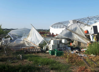 Tromba d’aria, danni ingenti all’azienda agricola Bersani di Longastrino