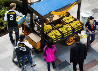 Campus Amazon a Seattle, Washington, (JORDAN STEAD / Amazon)