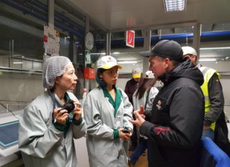 Le mele italiane pronte per l’export a Taiwan