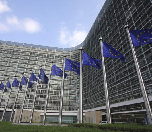 L'Ue apre alle innovazioni delle Ngt