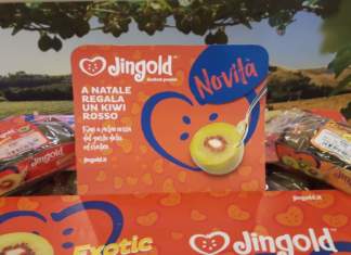 Jingold lancia a Fico il kiwi a polpa rossa