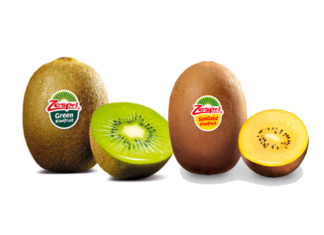 I kiwi Zespri alla conquista dello scaffale della gdo per 12 mesi all’anno