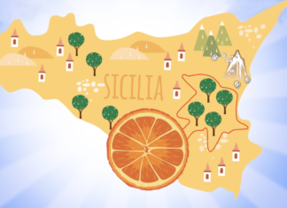 Arancia, il declino di un frutto Top