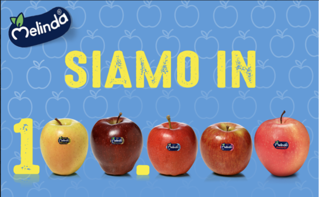 Le mele Melinda della Val di Non e Val di Sole, con il bollino blu, che trasmette qualità da 25 anni
