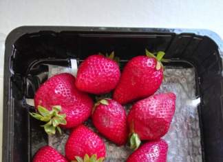 #Comprato&mangiato, le fragole Sabrina dell’Op Armonia