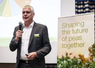 Il pisello in primo piano, il mercato chiede varietà di piccolo calibro