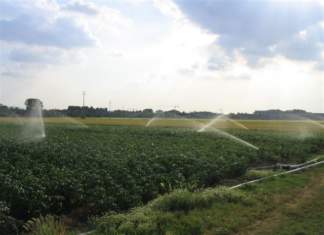 Romagnoli e Legambiente assieme per un progetto sulla sostenibilità