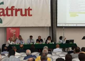 Patfrut cresce con le pere di Opera e programma nuovi investimenti
