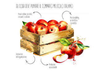 La visione al femminile sul futuro della mela in Italia e nel mondo