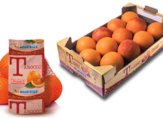 Arriva l’arancia Tarocco, il rosso che difende la salute L'arancia tarocco, un superfood nazionale ricco di antocianine