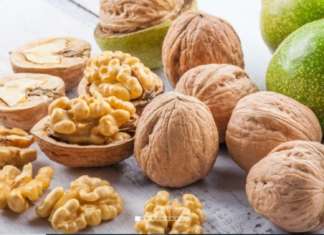 Besana, al via gli investimenti per lo sviluppo in Cina