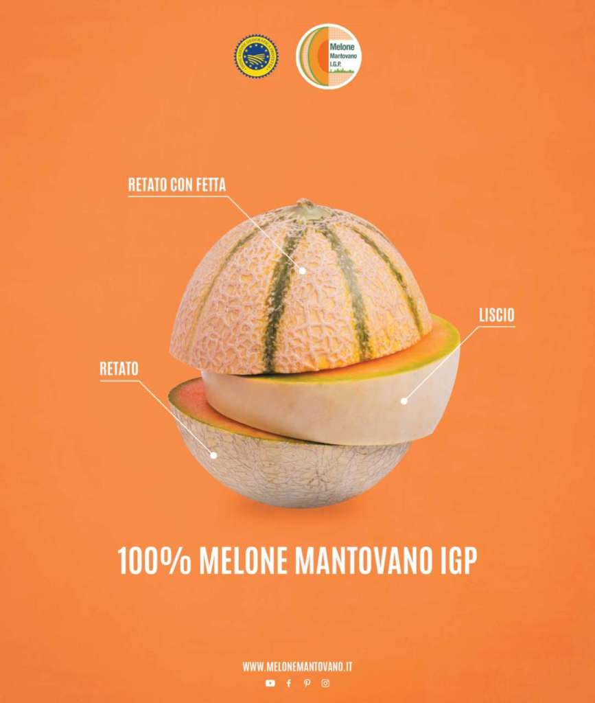 Sono tre le tipologie di Melone Mantovano ammesse nel disciplinare della Igp, melone retato con fetta, il melone retato senza fetta e melone liscio