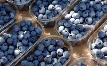 Piccoli frutti, consumi in Italia in crescita del 35% Il consumo dei piccoli frutti cresce in Italia e in tutto il mondo