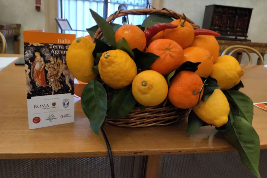 Agrumi protagonisti nella Capitale. Il Festival ha anche il supporto del Centro Agroalimentare di Roma (Car)