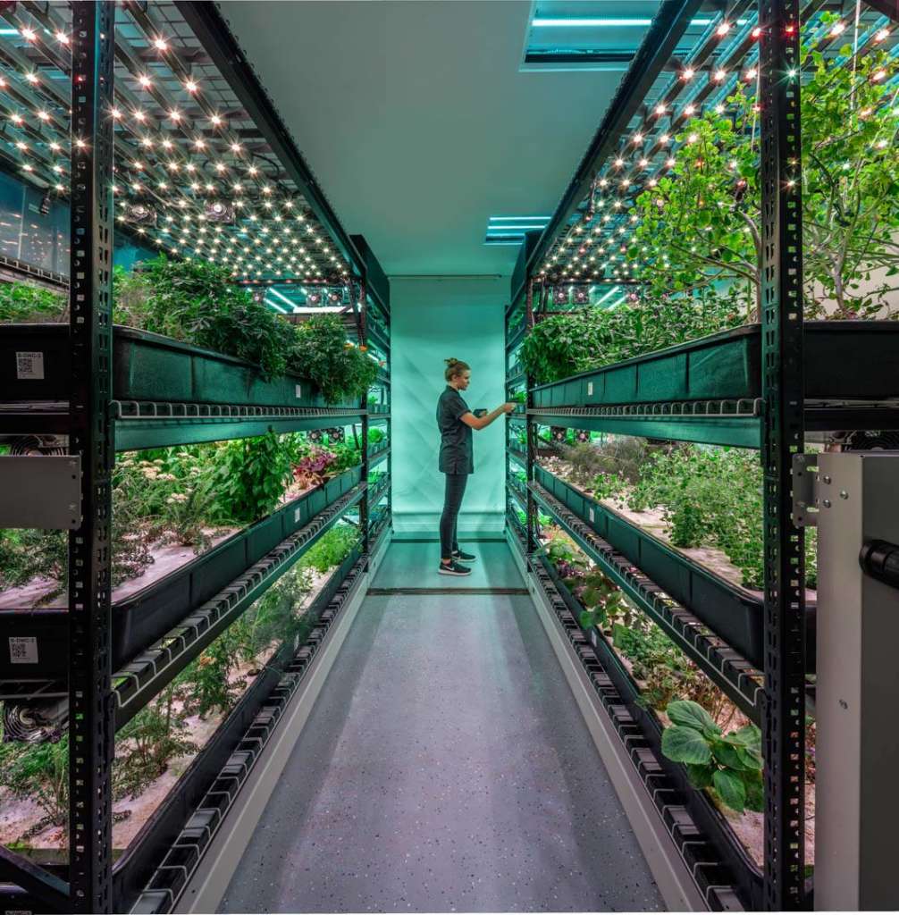 L'agricoltura diventa indoor e urbana con Farm.One e parmette maggiore valore aggiunto