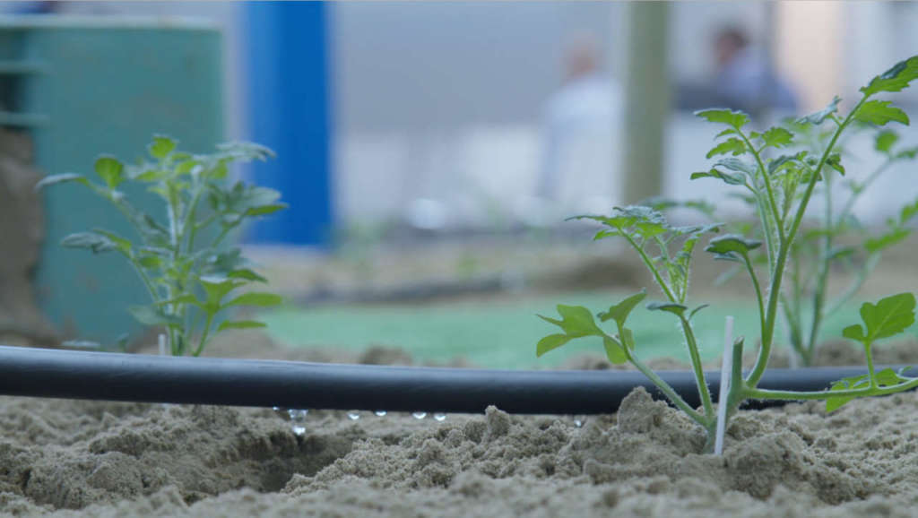 Le migliori soluzioni per il risparmio idrico in agricoltura saranno illustrate nello spazio AcquaCampus di Macfrut 2019