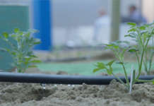 Le migliori soluzioni per il risparmio idrico in agricoltura saranno illustrate nello spazio AcquaCampus di Macfrut 2019