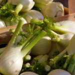 Finocchio analisi campagna prezzi