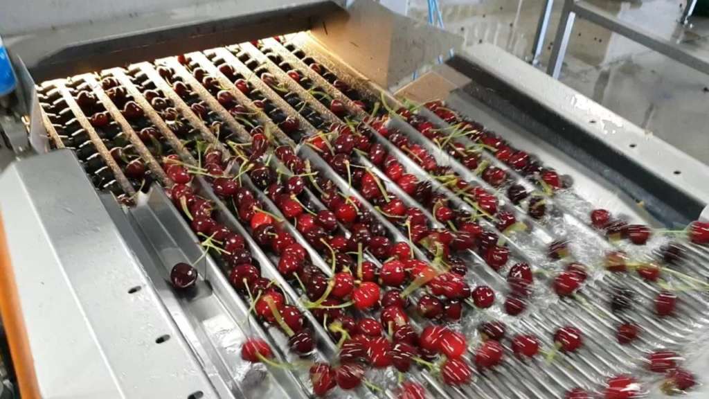 Mira 360, è una macchina versatile che si presenta al Global Cherry Summit 2019, in Cile, con un'interfaccia che migliora la comodità d'uso