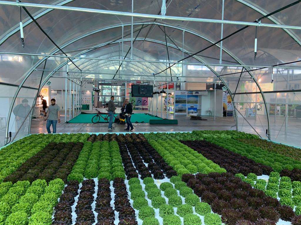 Il Greenhouse Technology Village, un villaggio dell’innovazione orticola in serra, che ospita i principali produttori di tecnologie