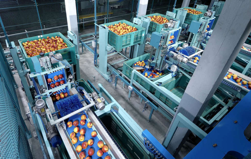 Orogel fresco stabilimento