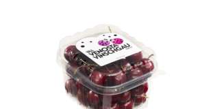 Regina e Kordia sono le due varietà delle ciliegie di montagna Val Venosta