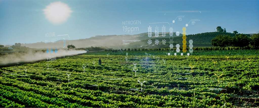 Il surriscaldamento del pianeta richiede lo sviluppo di modelli predittivi, a tutela delle colture, basati sull'intelligenza artificiale