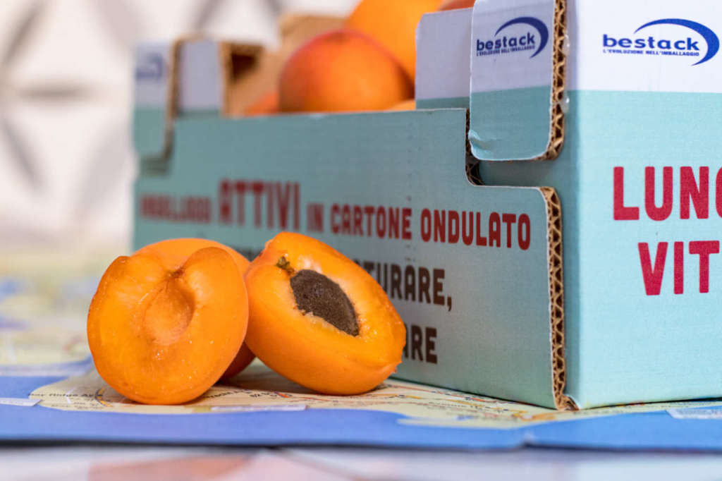 Con Attivo di Bestack lo scarto, nel caso delle albicocche, si riduce del 13 al 18%. La shelf-life si allunga fino a 36 ore