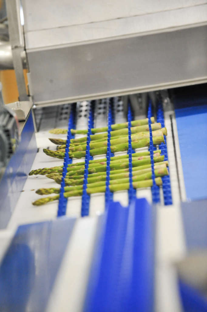 All'International Asparagus Days sono attese un centinaio di aziende, da ogni parte del mondo, specializzate nei diversi settori