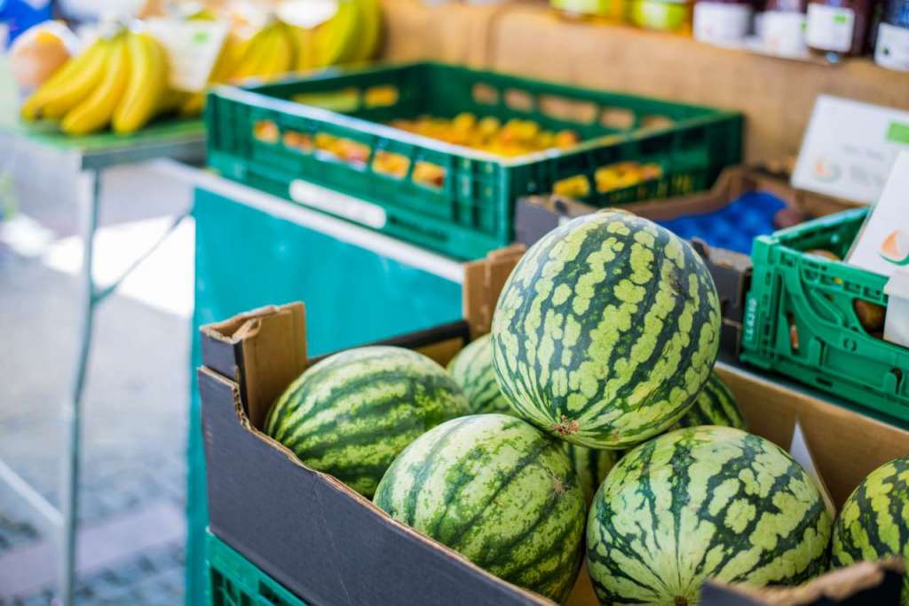 Per l'anguria è difficile che la campagna proseguirà oltre la metà del mese di settembre