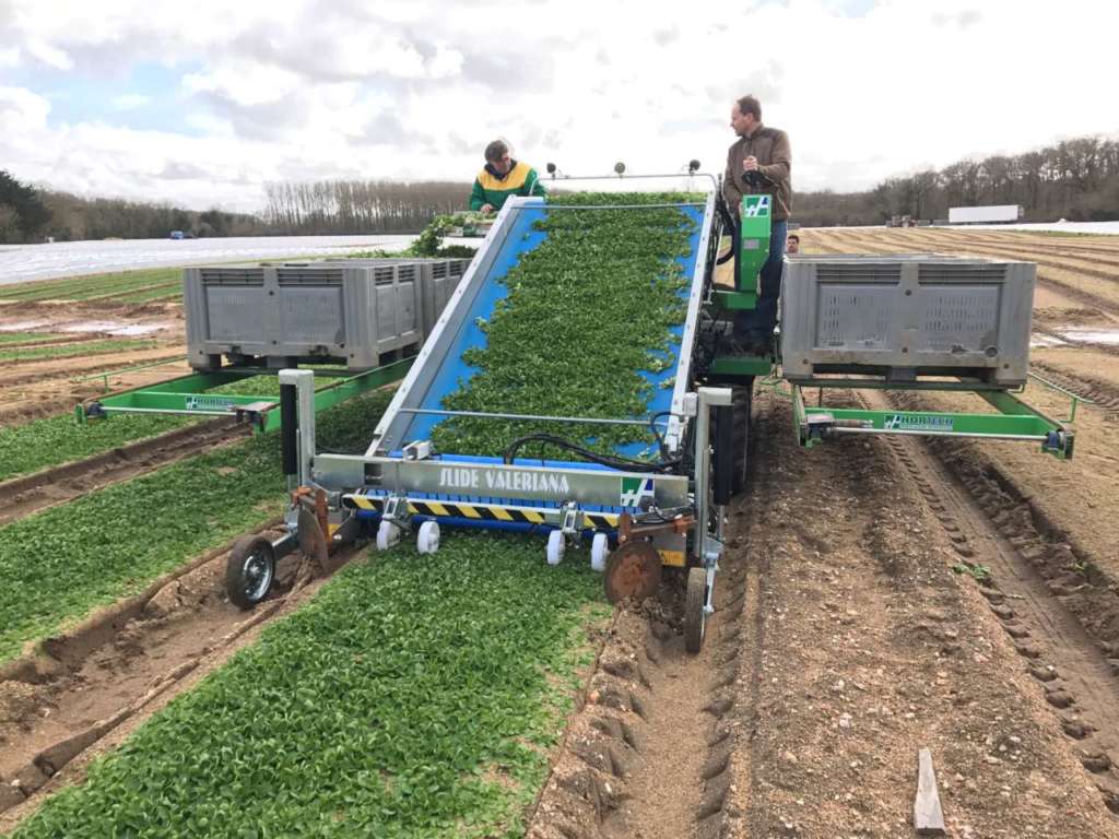 Hortech Fruit Attraction