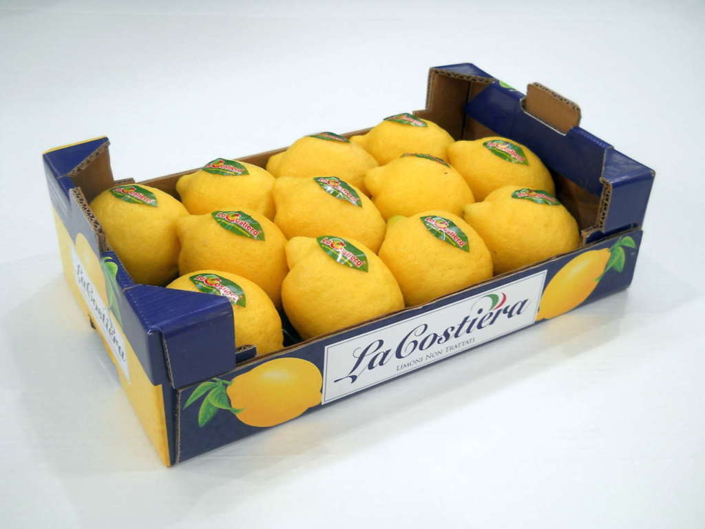 limoni la costiera