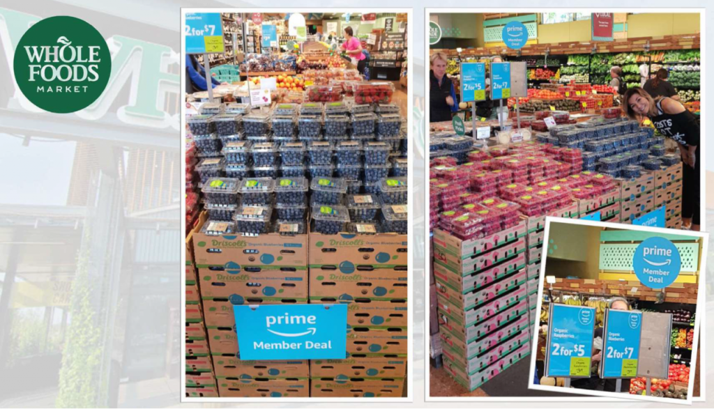 esposizione mirtilli