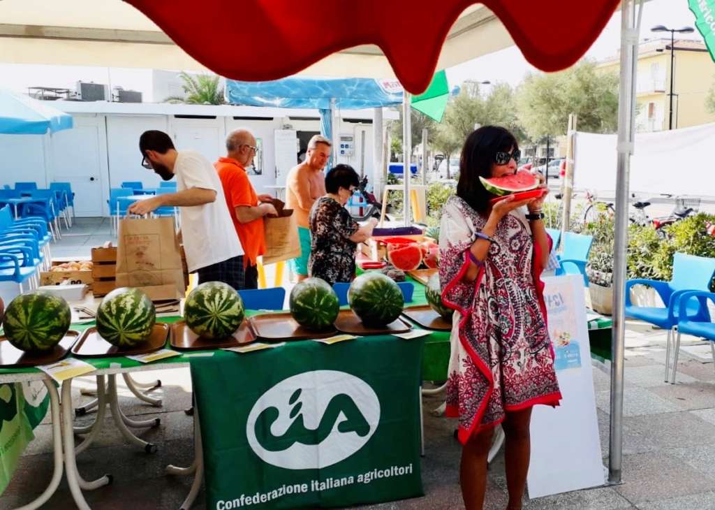 Cia–Agricoltori Italiani Ferrara lancia l'allarme su alcuni problemi che colpiscono l'agricoltura locale. A cominciare dalla cimice asiatica