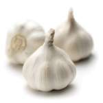 aglio bianco piacentino