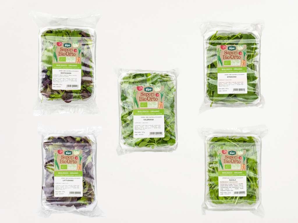 sipo babyleaf verdure bio