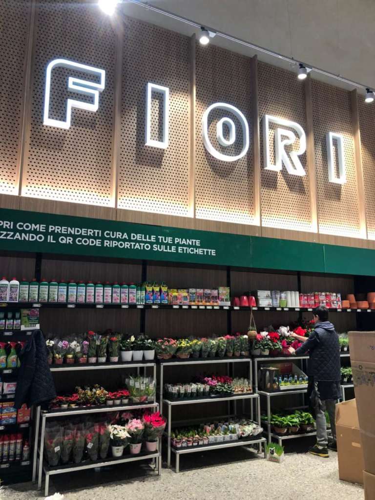 Il mercato dei produttori di fiori vede tra i primi posti Paesi Bassi, Ecuador, Kenya e Sri Lanka